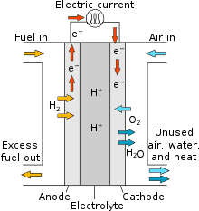 Proton Exchange Fuel Cell Diagram