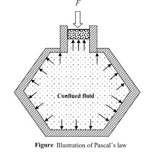 Pascallaw.