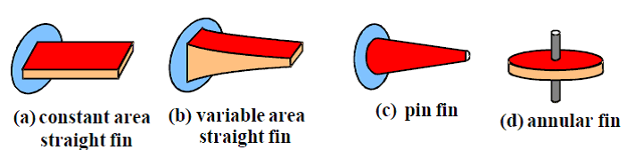 types of fins