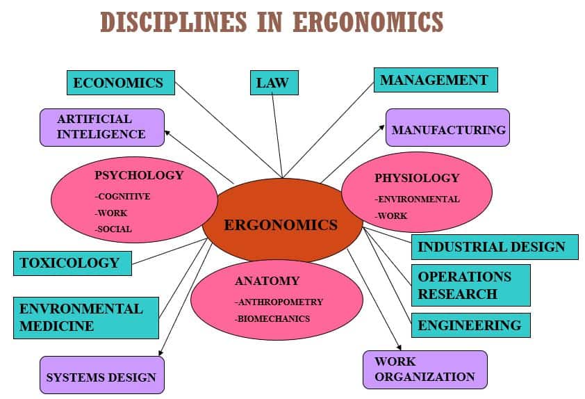 人体工程学的概念